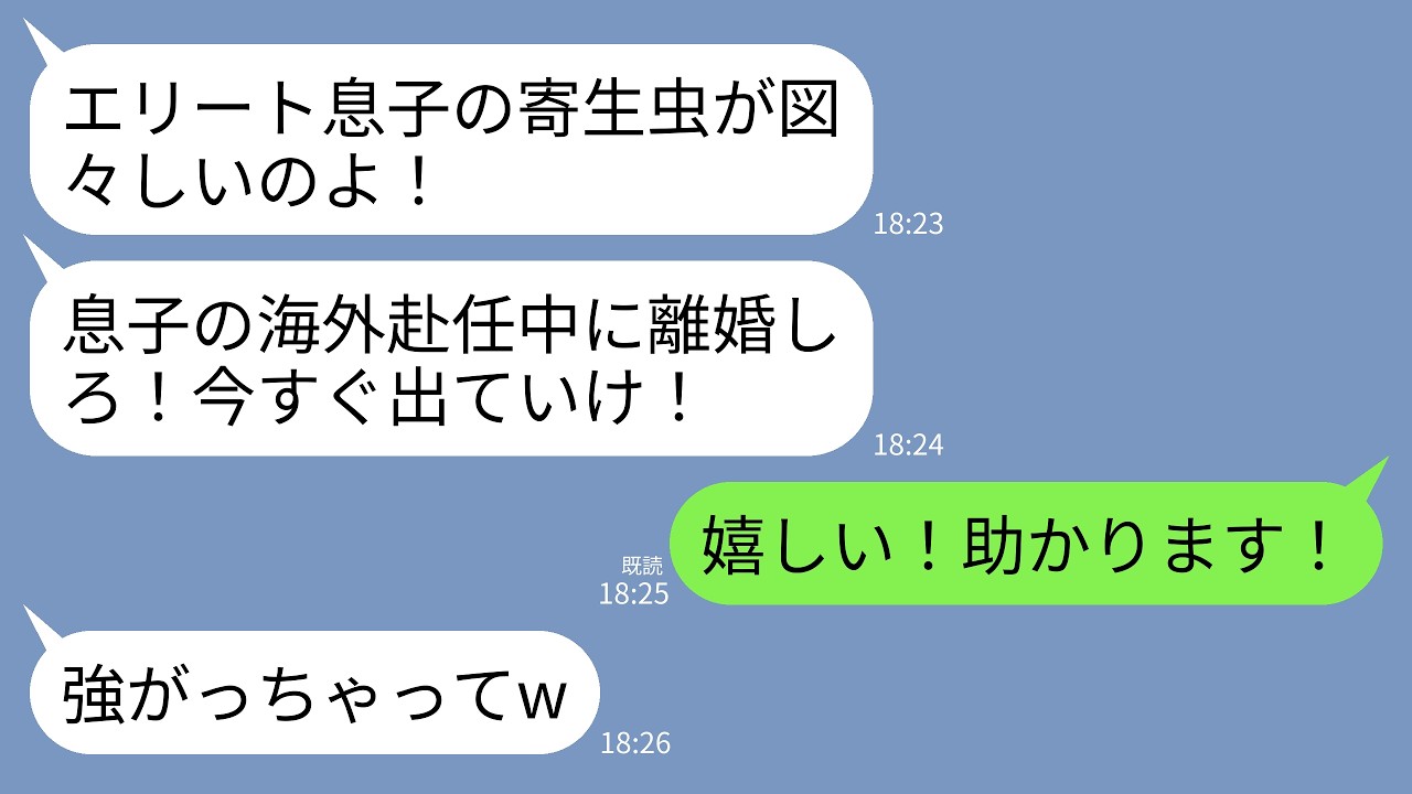 【LINE】夫が海外赴任に行くと同居中の義母から離婚宣告。義母「息子のいない間に出てけwエリート息子の寄生虫が」→私「ありがとうございます！」→大喜びで出ていった結果w
