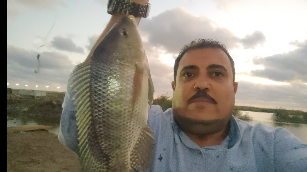 مجزرة البلطى الدباشى والقرموط والضرب على المباشر والسر فى العجينة