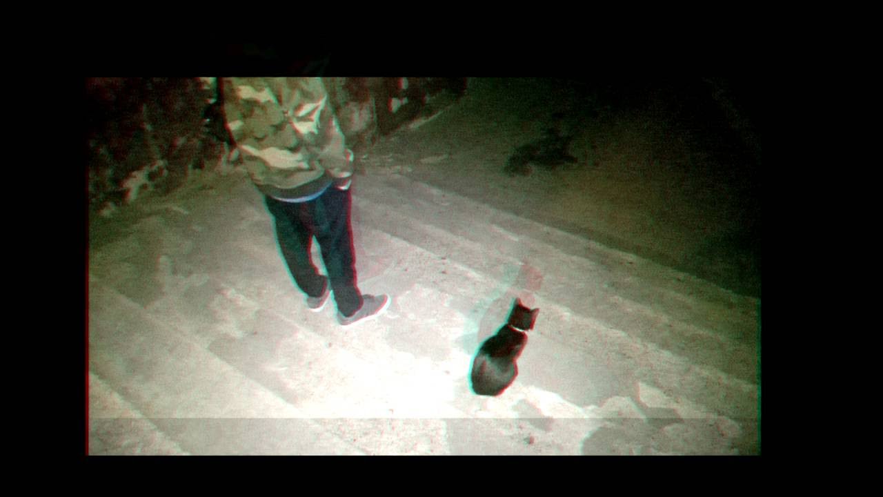 MŁODY_OSA - enterthevoid.