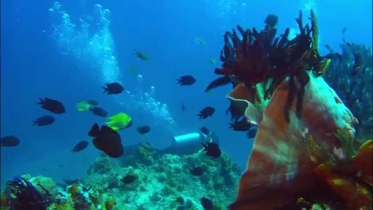 Plongée à El Nido - Archipel de Bacuit - Palawan
