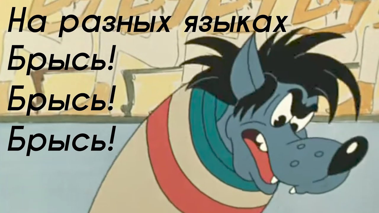 Брысь! Брысь! Брысь! На разных языках