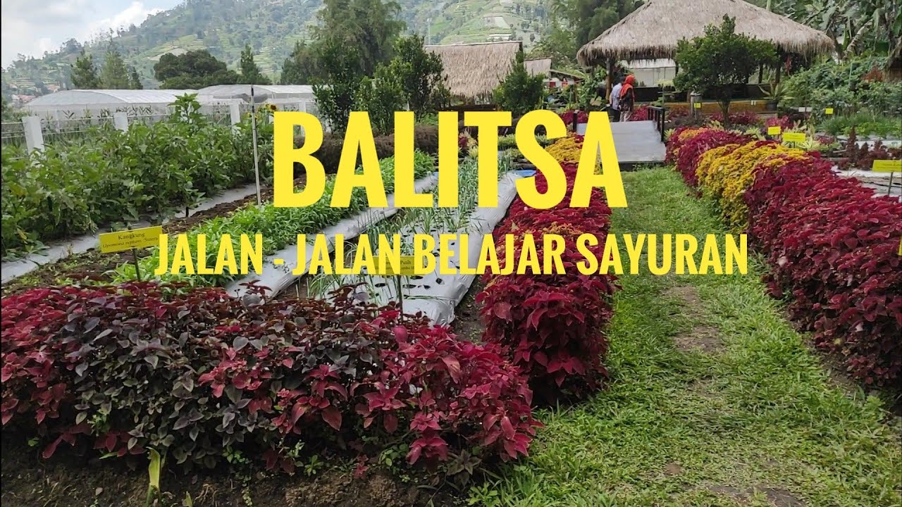 Kunjungan ke Balitsa (Balai Penelitian Tanaman Sayuran) Lembang Jawa Barat Desember 2021