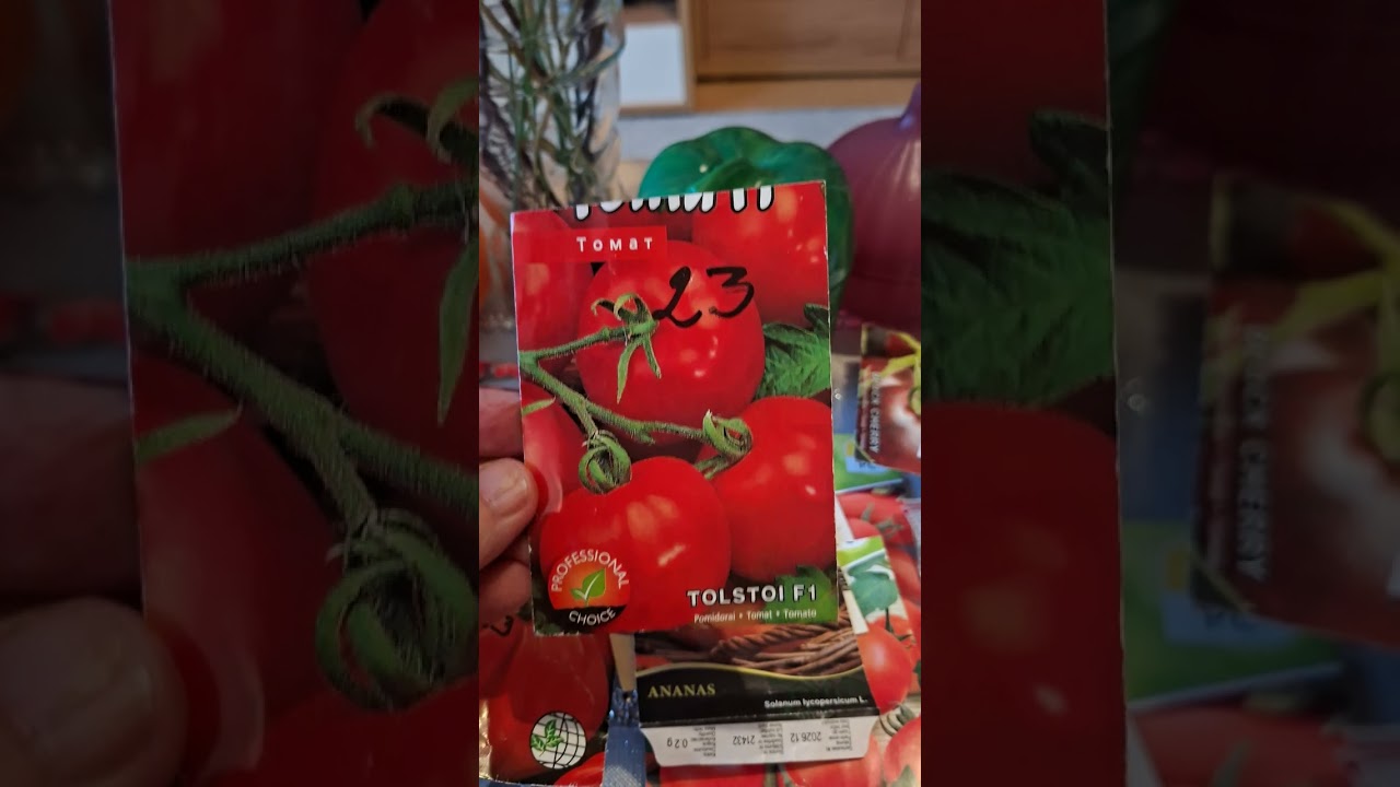 7 марта 2026 г.Впихнуть невпихуемое🍅🍅🍅🤔
