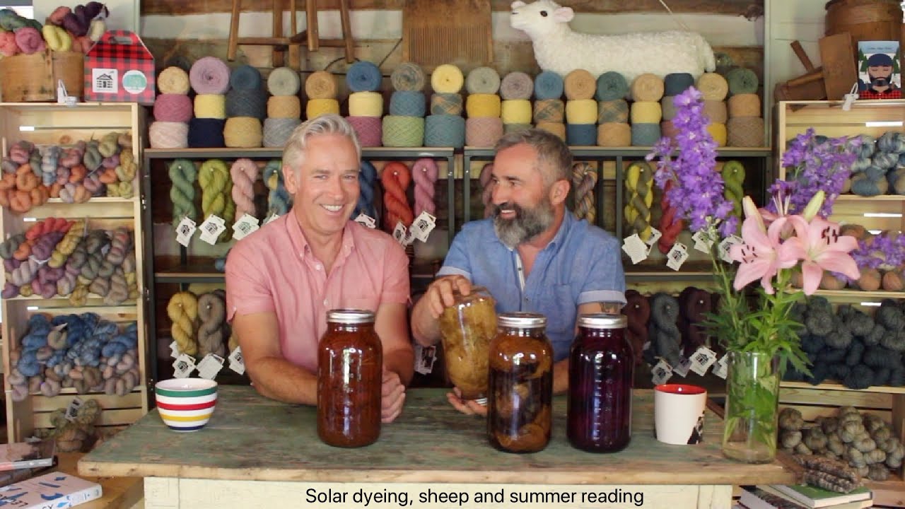 Solar yarn dyeing, Rambouillet sheep, and books for wool lovers and yarn dyers