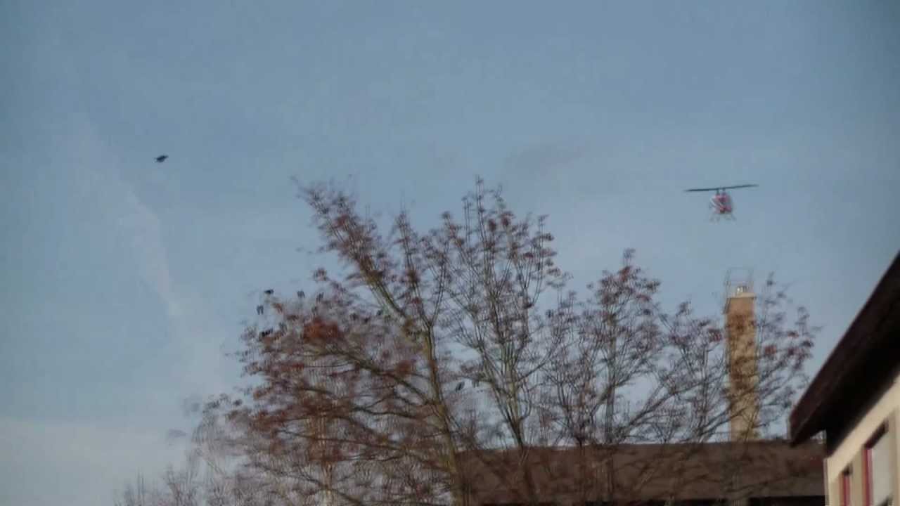 E-flite Blade mSR X flybarless fixed-pitch micro helicopter - Outdoor flight