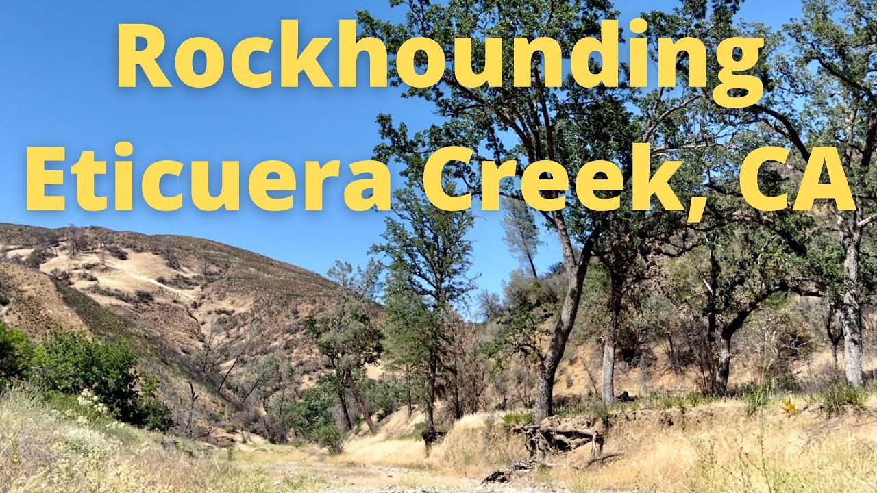 Rockhounding Eticuera Creek for Petrified Wood - My First Rockhound Exploration