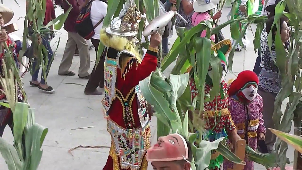 YONY MENDOZA QUISPE DE OROS HUAYLIA 2019
