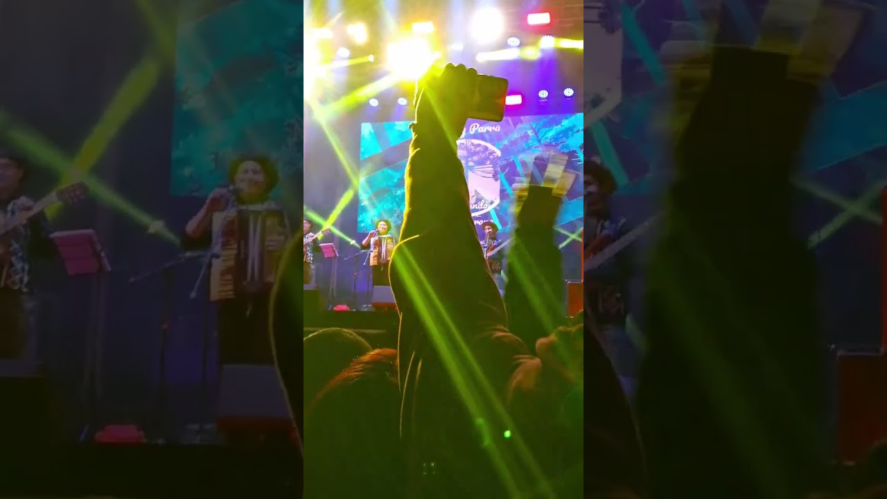 Luchy Parra y La Banda Cordillerana XV Fiesta Nacional del Pehuen