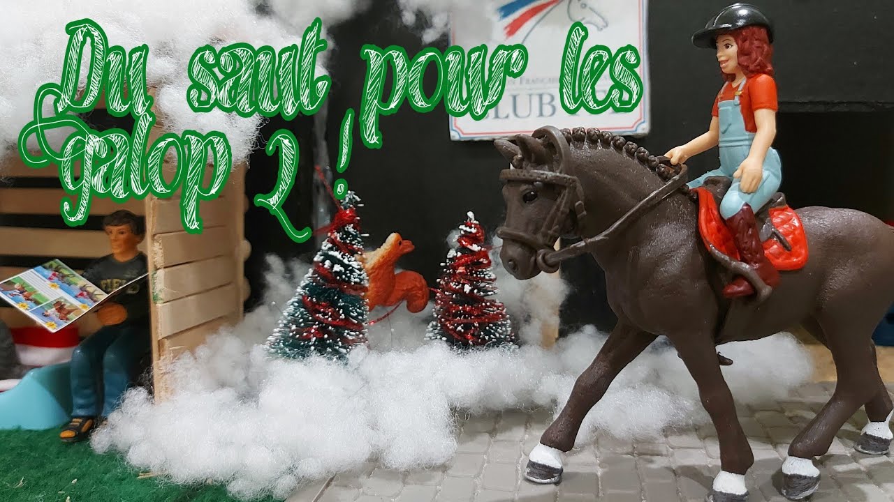 [Cours] Un peu de saut dans le manège pour les poneys !
