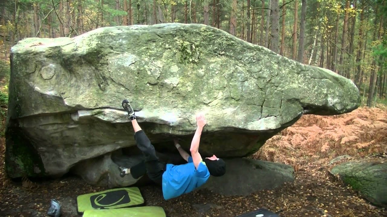 Fontainebleau - Special ones n°6