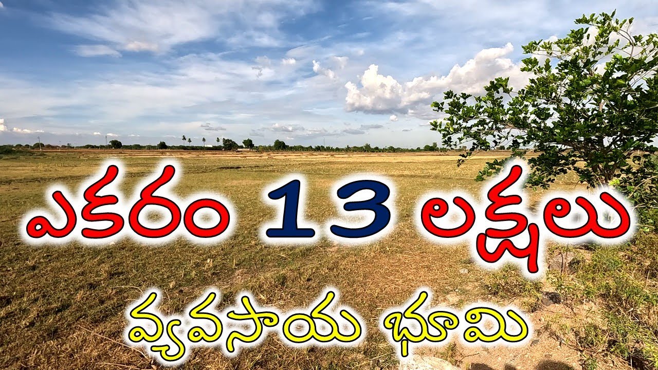Top 10 Agriculture Lands for Sale in Telangana You Won't Believe the Prices