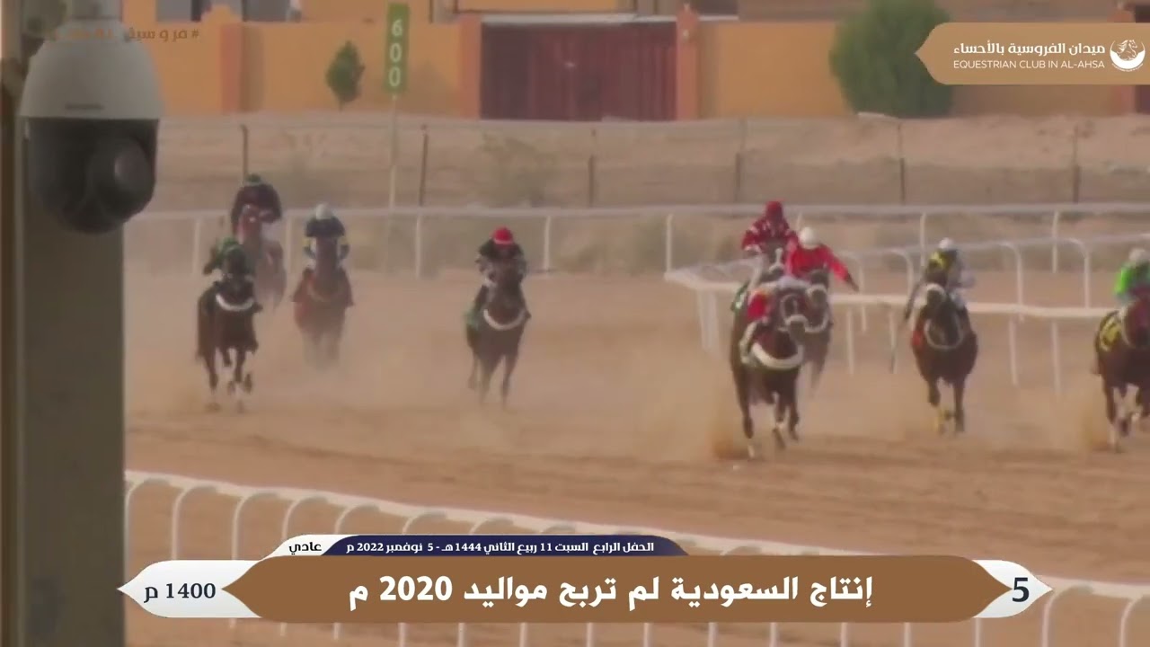 ميدان الفروسية بالأحساء لعام ١٤٤٤هـ حفل (4) شوط 5 المركز الأول (ماتاس)