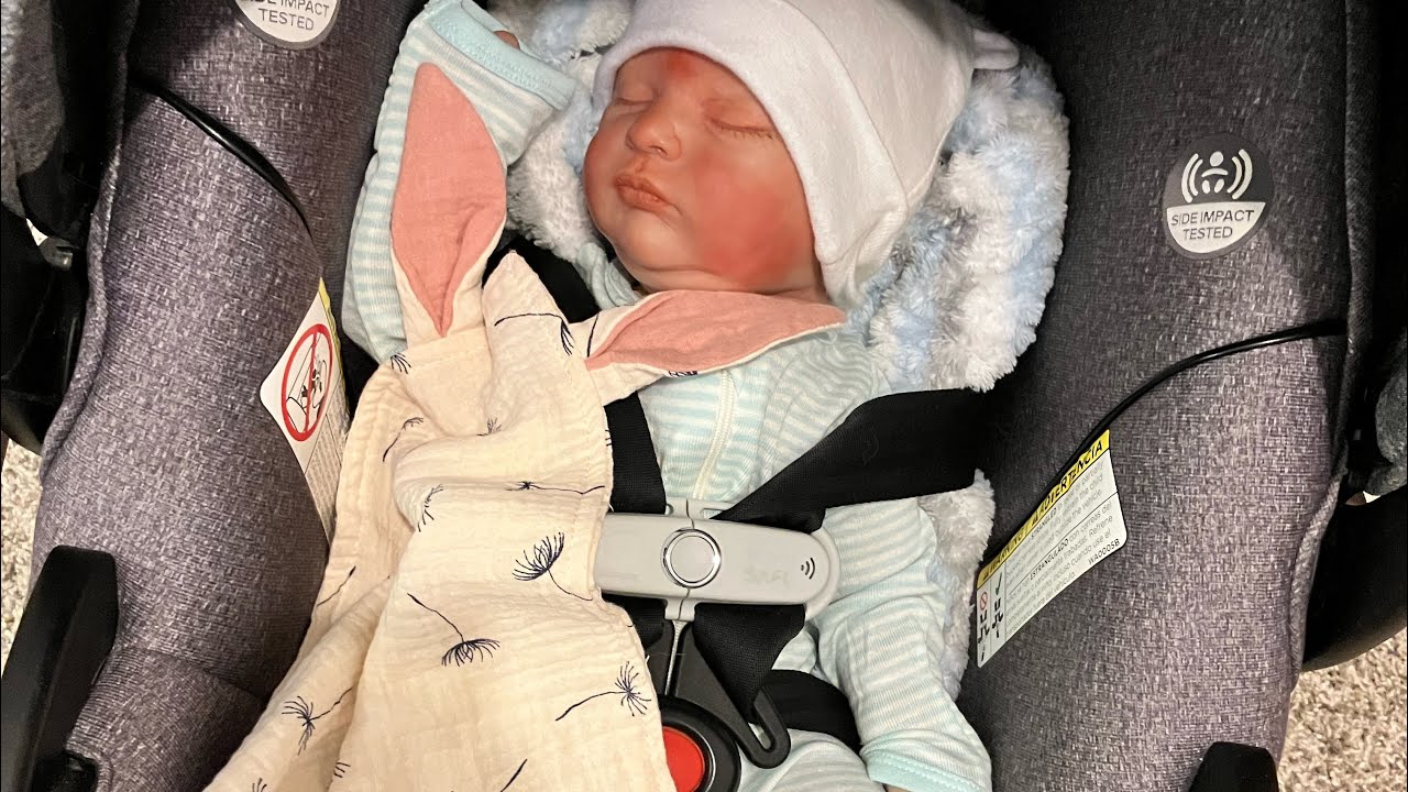 Snowy afternoon with a sick newborn 🍼🤒 #reborn #reborndolls #rebornmommy #rebornafternoonroutine 