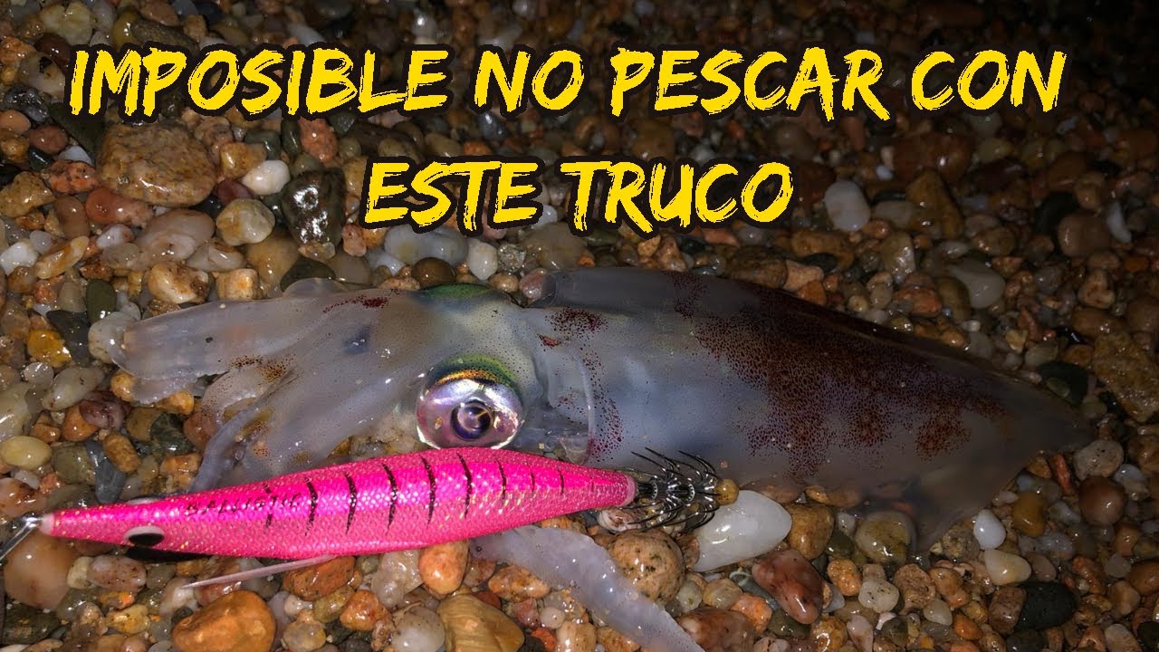 IMPOSIBLE NO PESCAR CALAMARES CON ESTA TÉCNICA