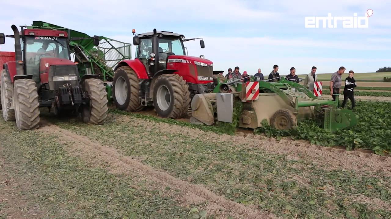 Arrachageuse franquet 720