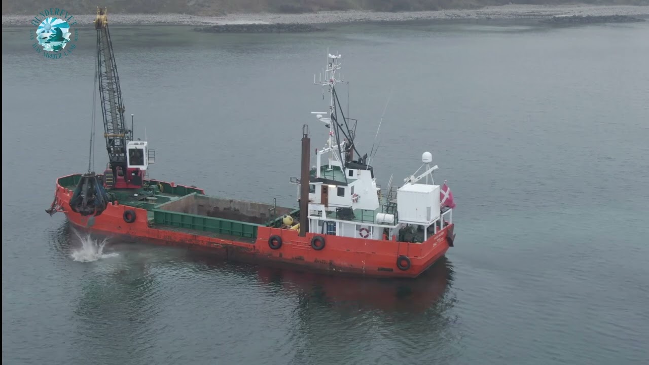 Hunderevet ved Hundested