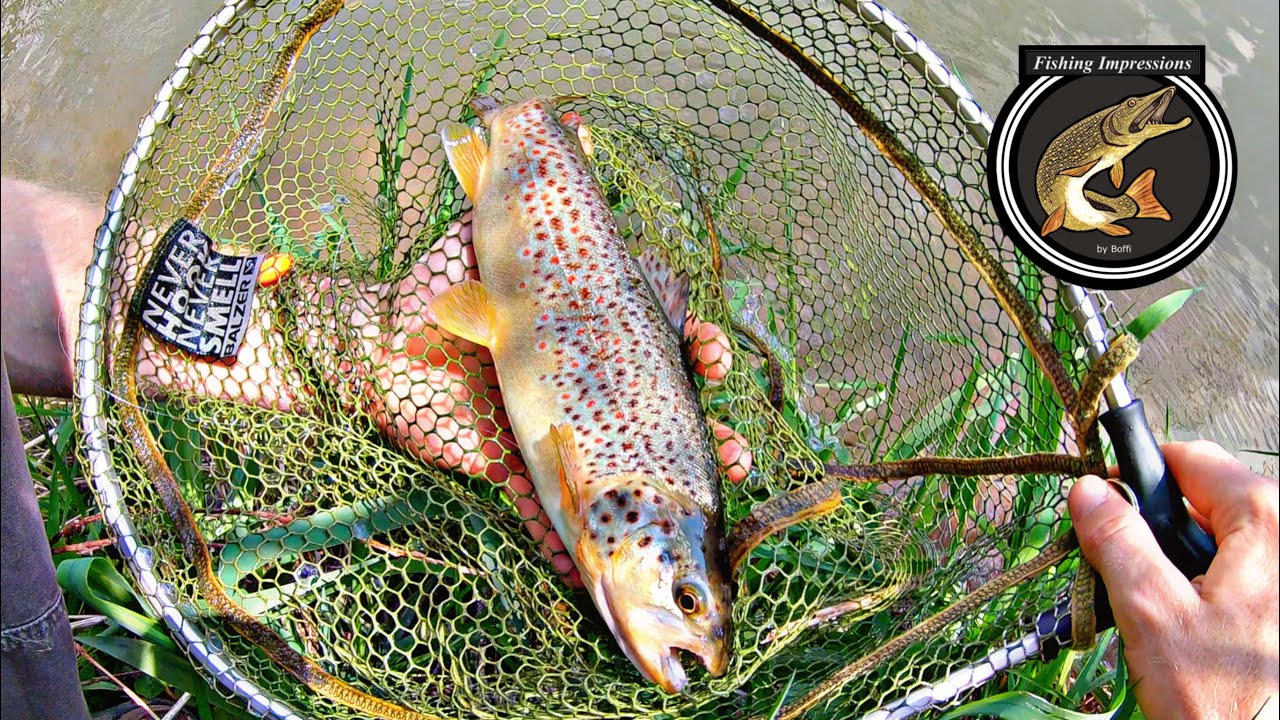 Zum ersten Mal! Fliegenfischen für Anfänger (2)