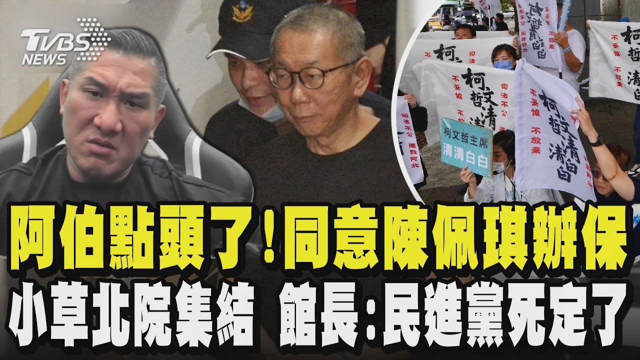 阿伯點頭了!同意陳佩琪辦保  小草北院集結 館長:民進黨死定了｜TVBS新聞 @TVBSNEWS01