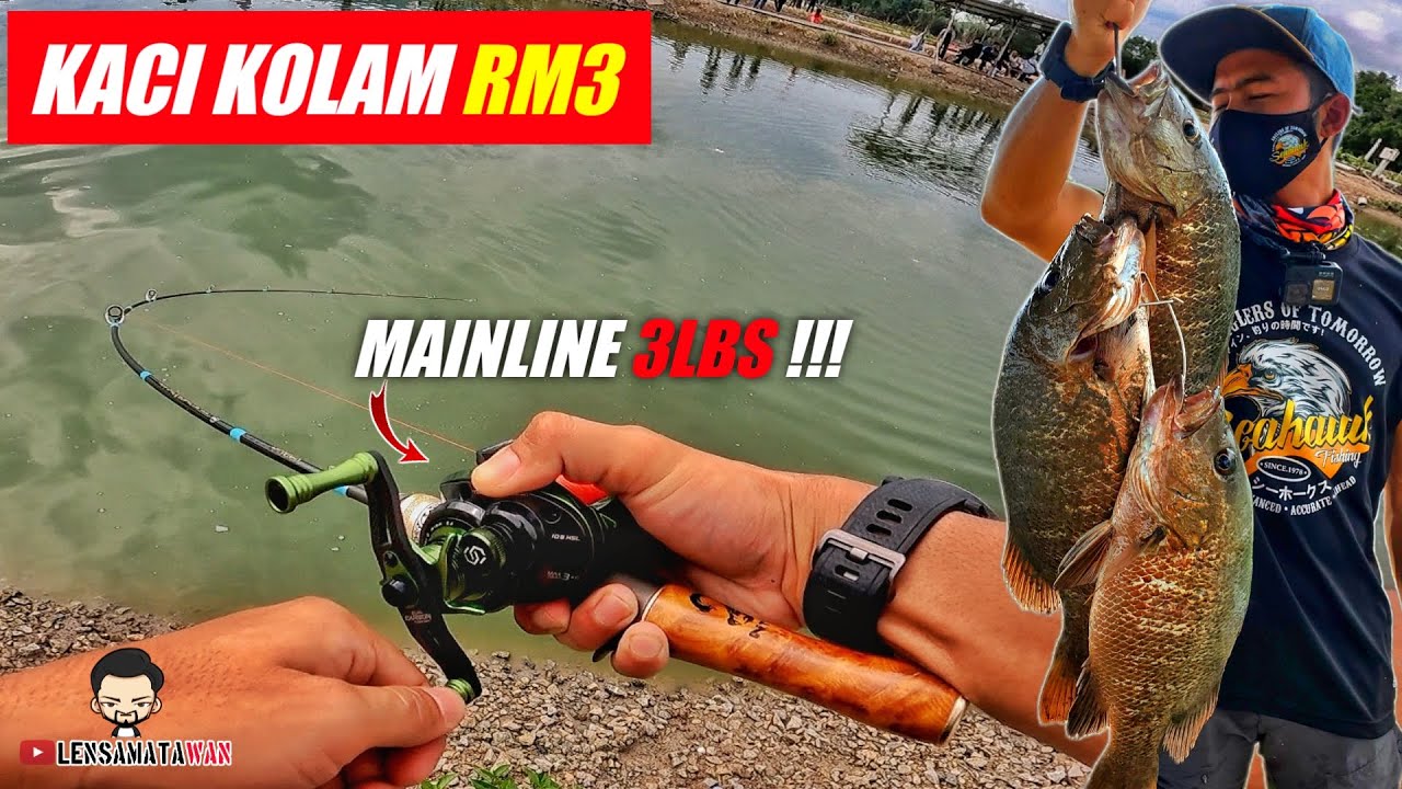 GASAK KACI KOLAM RM3 DENGAN SETUP ULTRALIGHT | SIAKAP MERAH | MANGROVE JACK