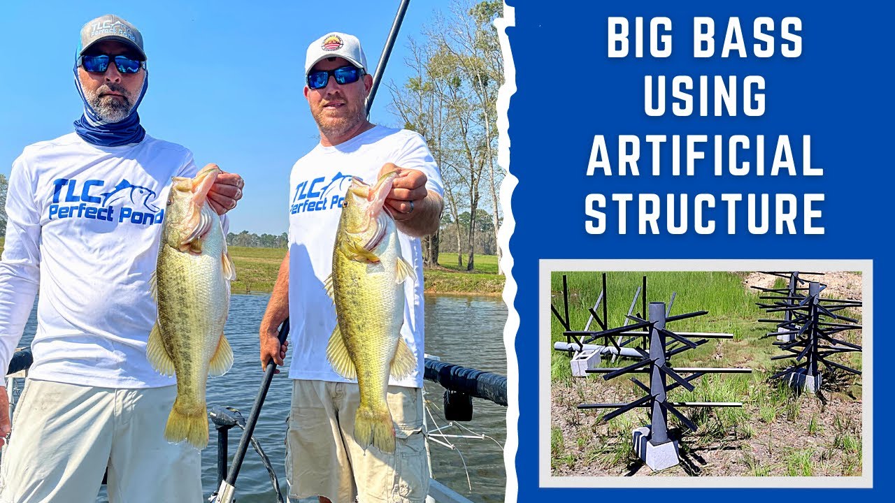 GROWING TROPHY BASS with ARTIFICIAL STRUCTURE