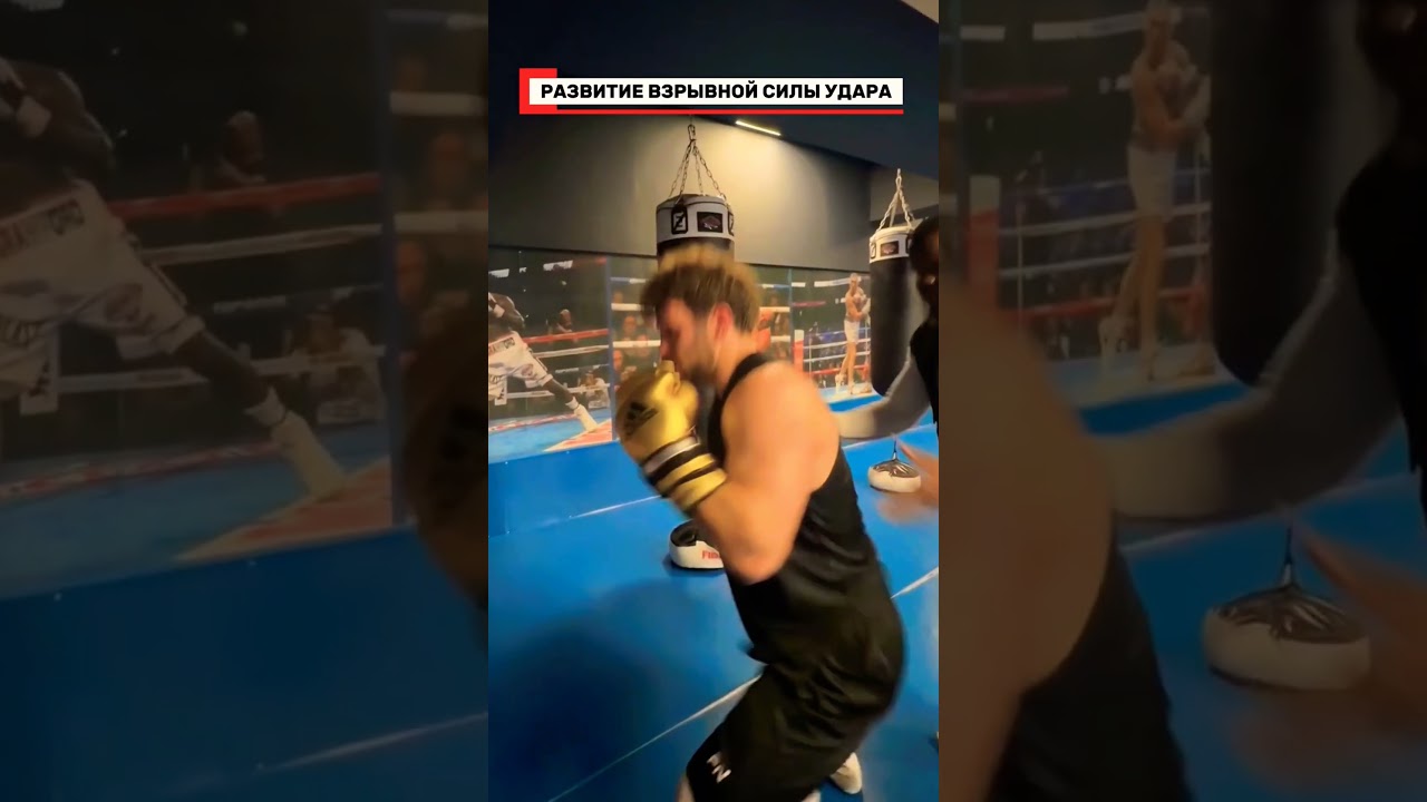 🥊 развитие взрывной силы удара #бокс#boxing#box