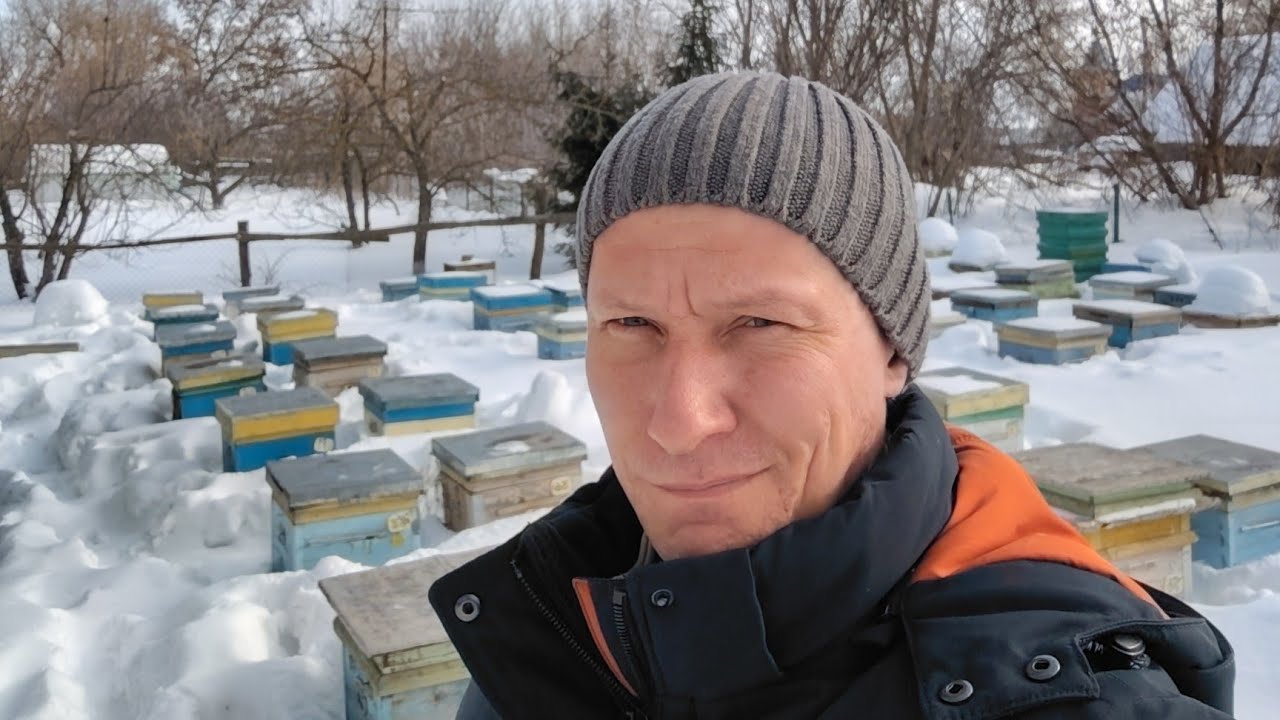 19 февраля - Резервный точок пасеки. Зимовка на воле. 