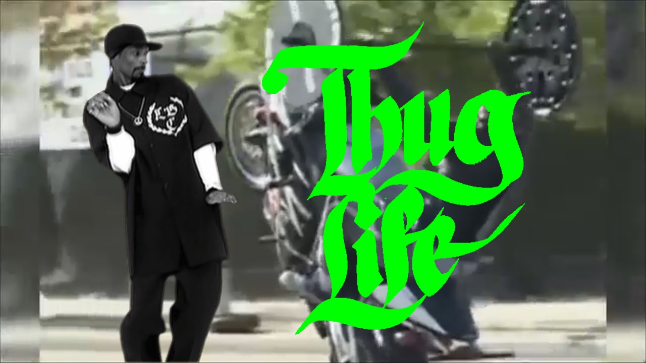 THUG LIFE VIDEOS DAHORA | ESPECIAL 30000 INSCRITOS