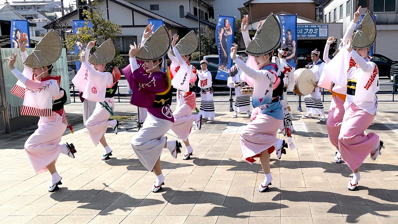阿波踊りの行列かと思ったら西田さんとこのきゅうりだった 阿波おどり振興協会選抜 スカイホール豊田 シーホース三河
