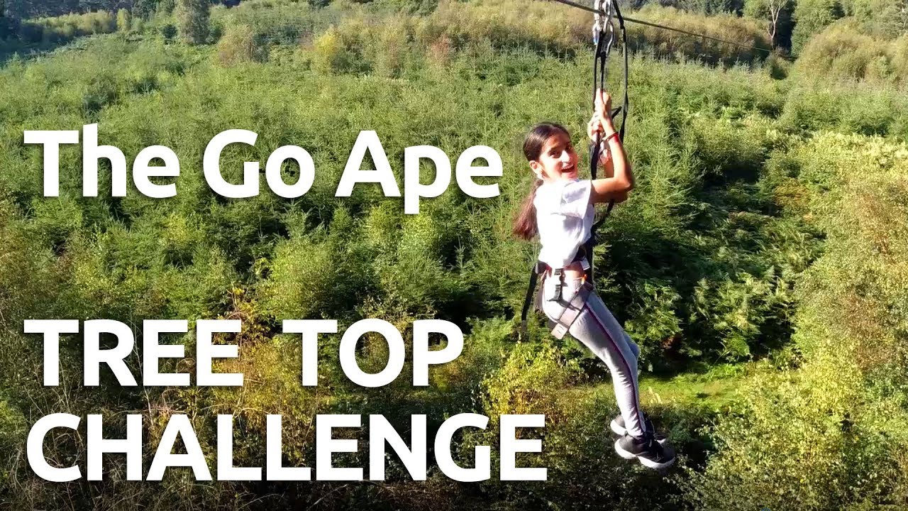 Go Ape Tree Top Challenge Cannock Chase (2019)