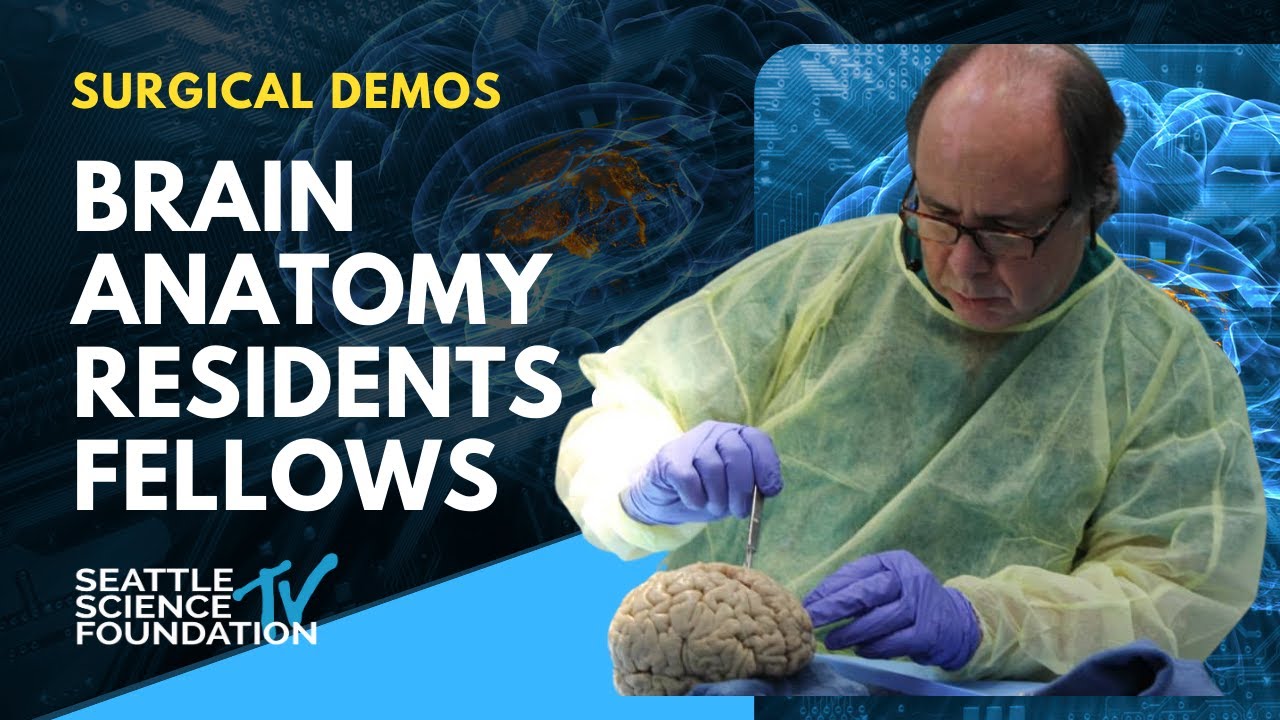 11th Annual Brain Anatomy Review Introduction - Rod Oskouian, Jr , MD
