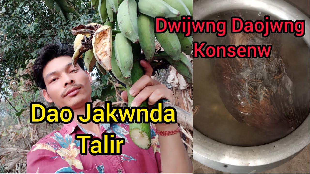 Dwijwng Daojwng Konsenw ll Dao Jakwnda Talir Pitai Danklaibai Ep. 92