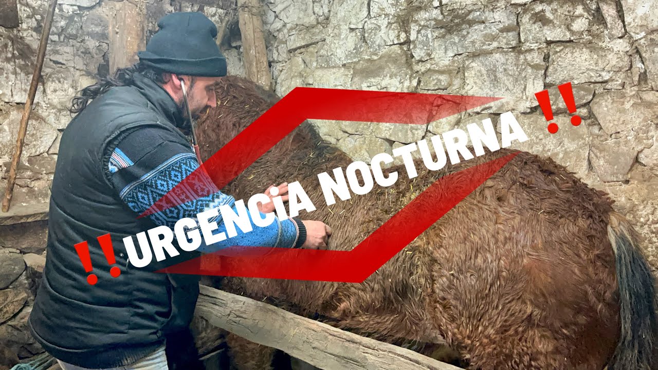 ❌Urgencia❌