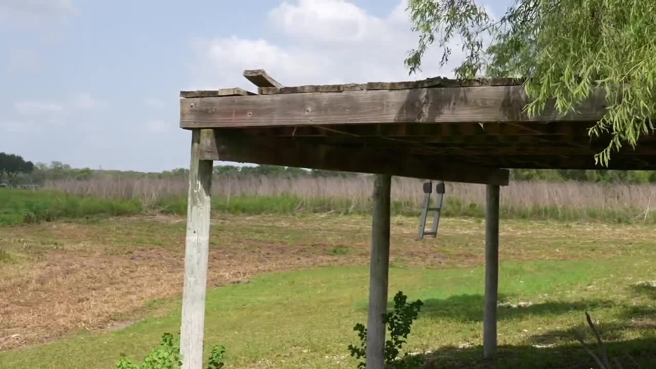 Growing vegetation in Lake Corpus Christi raises safety concerns