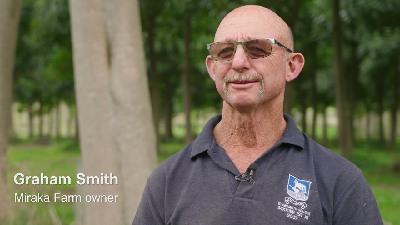 The value of trees on a dairy farm
