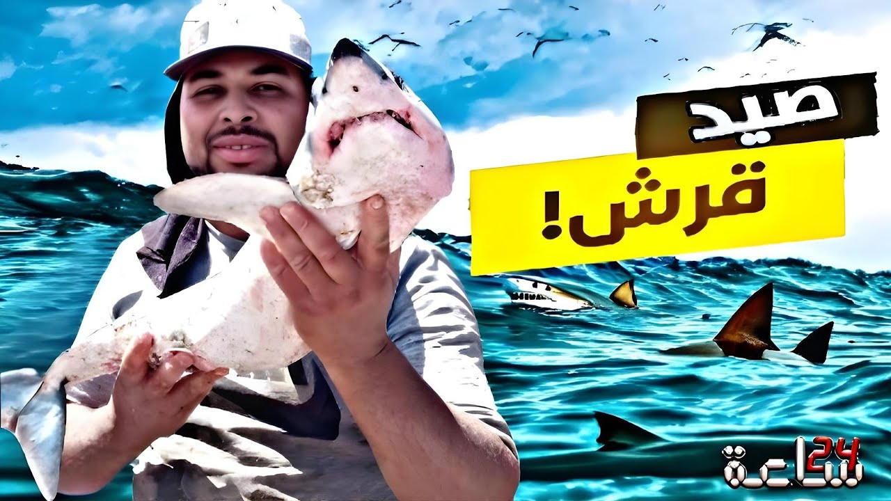 كفاح البحار: تحدي 24h في أعماق البحر صيد الوحش يوم و ليلة رائعة و حصيلة اسماك 🐟 ضخمة مع اطبخ