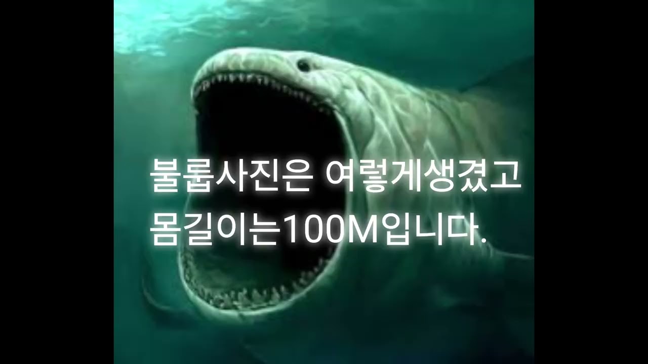 2026년 1월 25일