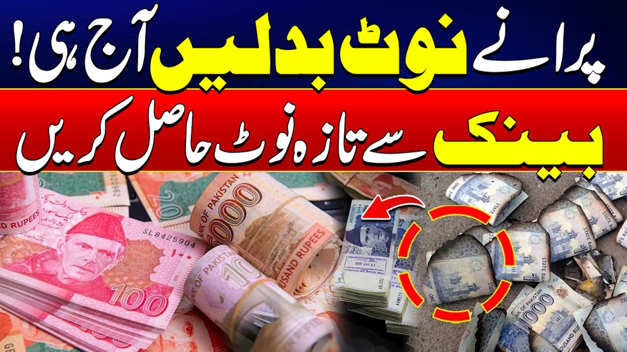 Exchange Torn Notes for New Currency – Bank Service Available Now | Rohi