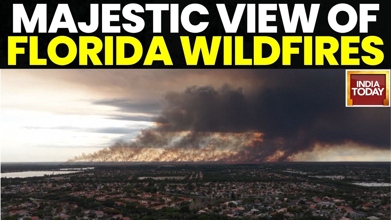 Florida Wildfire Burns 11,000 Acres, Massive Smoke Plumes | India Today