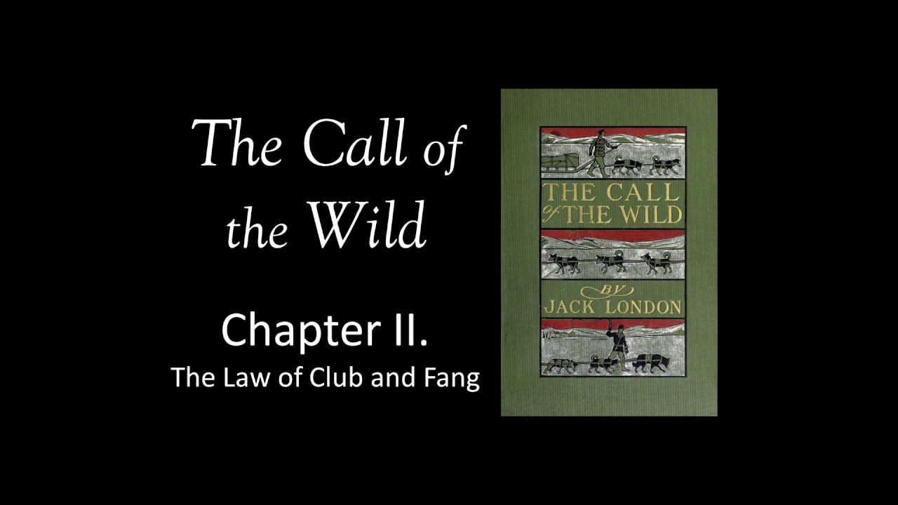 The Call of the Wild Audio Book - Chapter 2