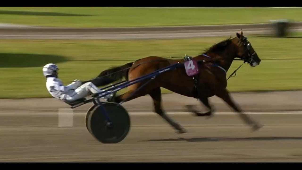 GO ON BOY 1.08.4  ELITLOPPET 2025