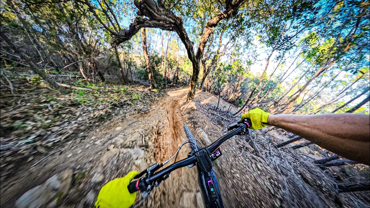 MTB POV &mdash; Spiderman 2 (Catalan Winter)
