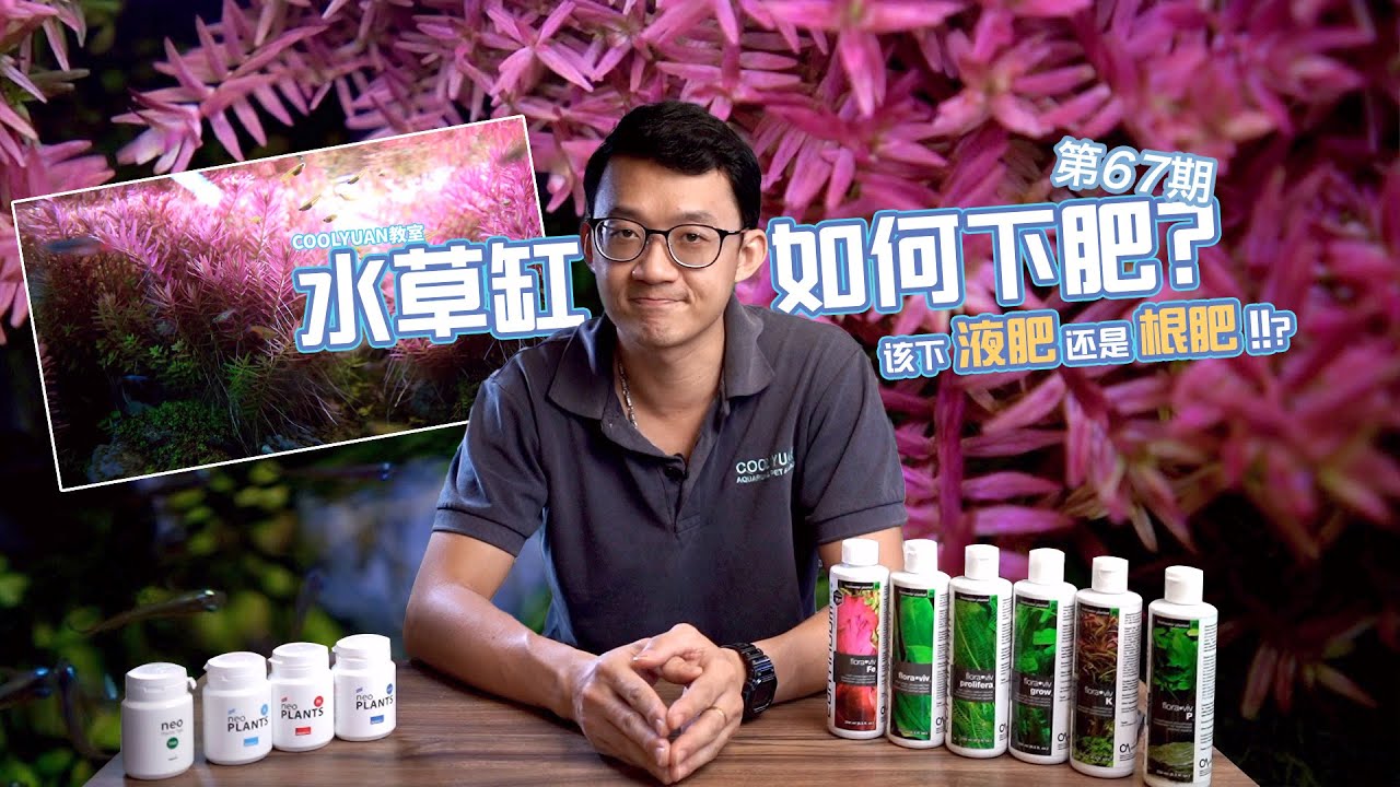 水草缸如何下肥？该下液肥还是根肥？ EP67