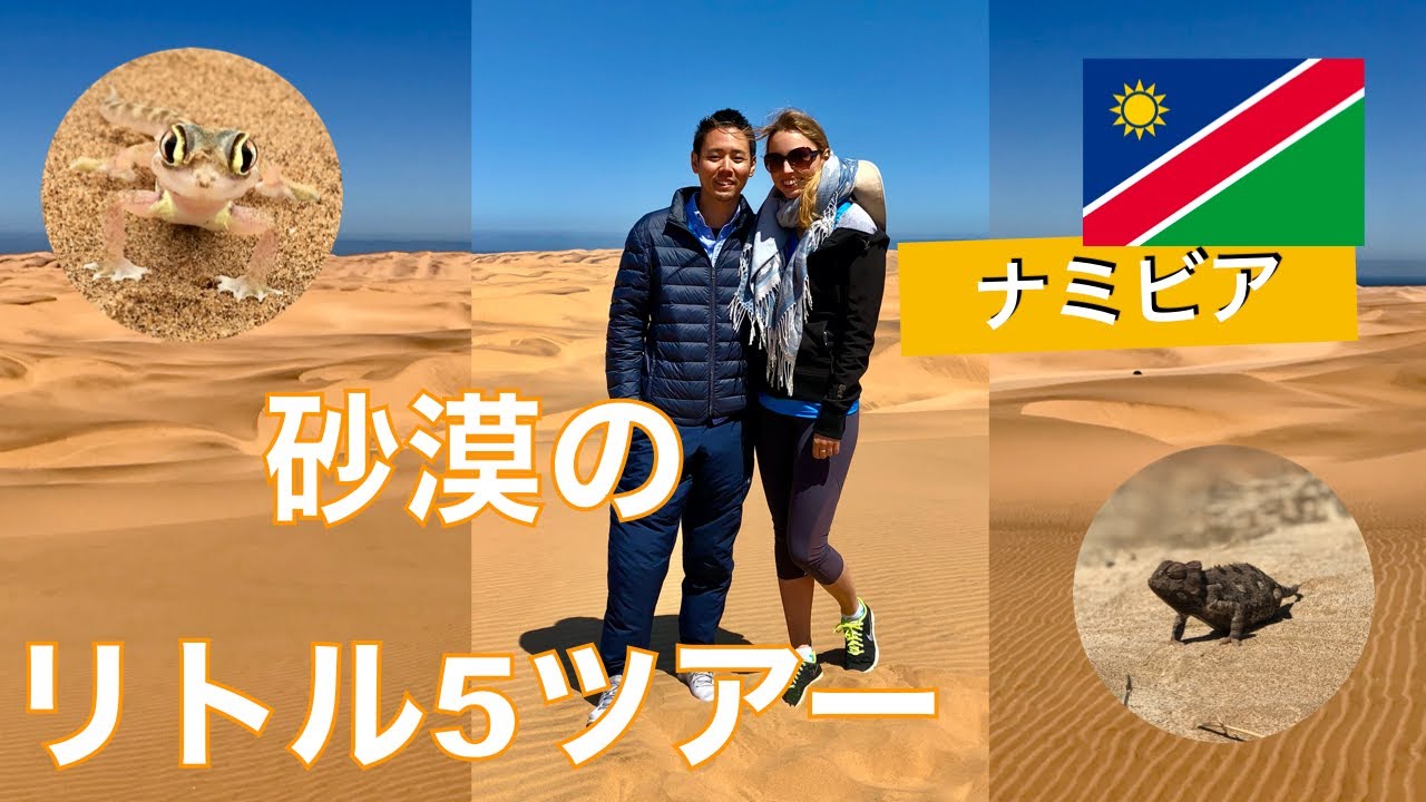 【ナミビア】スワコプムンドの砂漠に潜む小さな影。リトル5ツアー！【5日目】