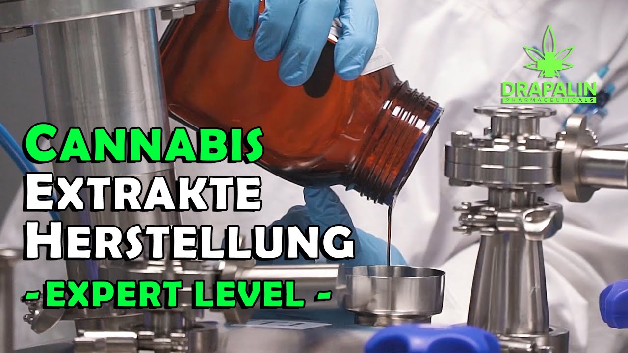 Cannabis Extrakte Herstellung (For Experts Only) 🌿| Drapalin auf Reisen &ndash; Folge 1