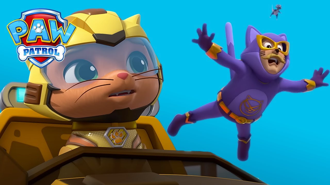Humdinger Is A Cat? 🐱 (Compilation) | Paw Patrol | Spin Kids | Cartoons For Kids