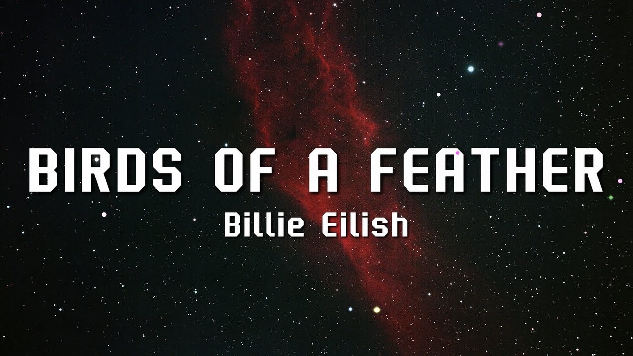 Billie Eilish - BIRDS OF A FEATHER (Lyrics)