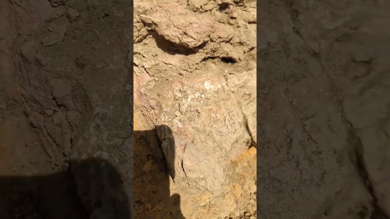Chasing Quartz Veins.
