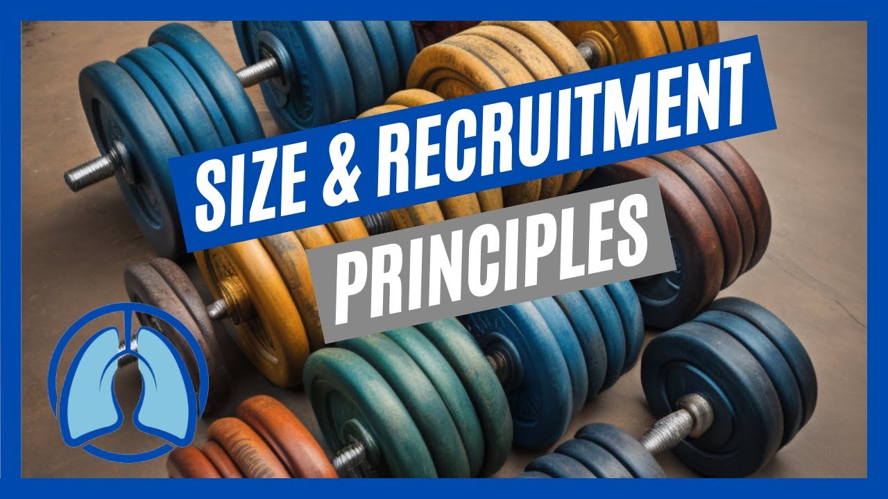 Size & Recruitment Principle