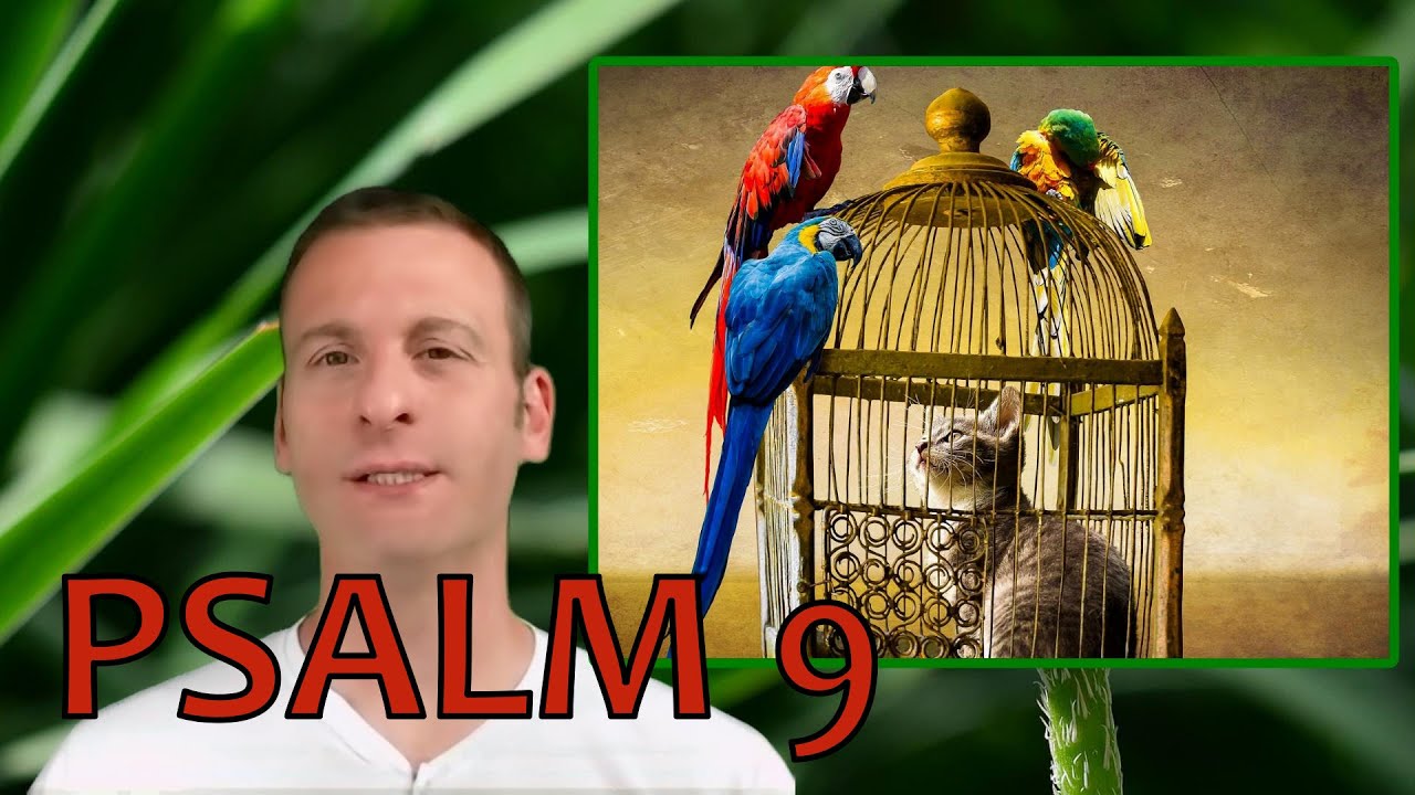 Psalm Chapter 9 Summary and What God Wants From Us