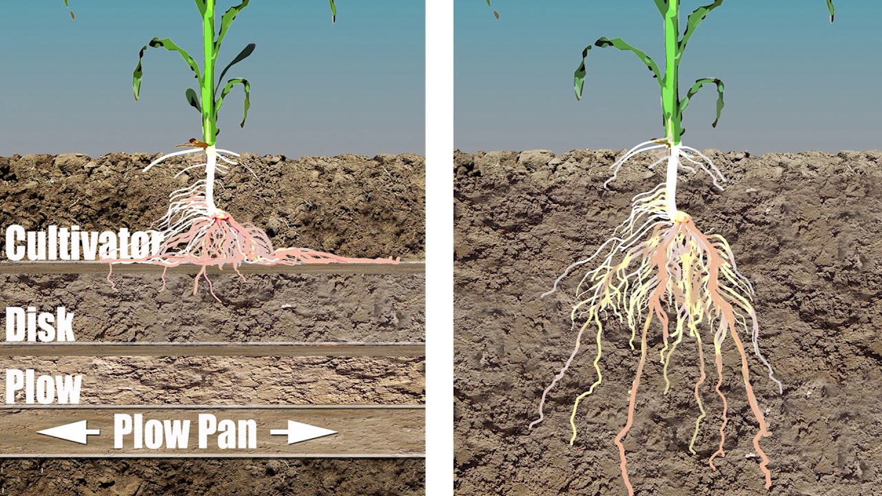 Vertical Tillage Principals